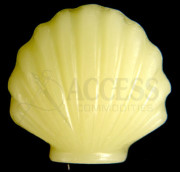 Beeswax - Shell