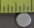 Tiny
                          Magnet - Single