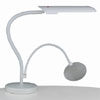 Table Top Lamp & Magnifier