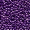 02101 Purple