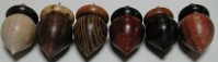 Acron Charms