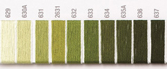 629 Light Moss