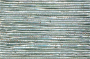 6210 Silver