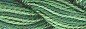 4045 Evergreen Forest