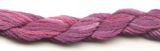 037 Fuchsia