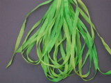 099 Spring Green