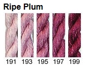 191 Ripe Plum