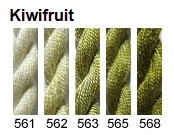 561 Kiwifruit