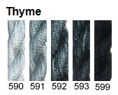 590 Thyme