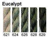 621 Eucalyptus