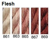 861 Flesh