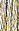 0403 Celadon Lt.