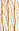0902 Cinnamon Vy. Lt.