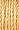 2024 Medium Buttercup