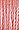 3013 Light Coral