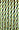 4033 Light Kelly Green