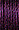 6086 Dark Grape
