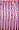 6114 Medium Wisteria