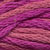 023 Midium Carnation
