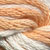 038 Palomino