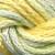 049 Citrus