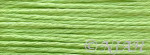 S1139 Lite Neon Green