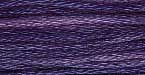 0810 Purple Iris