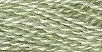 0114 Silver Fern