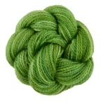 425 Madienhair Fern (Shadows)
