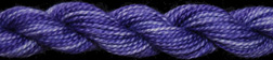 WV11271 Purple Pansy