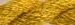 S-509  Buttercup 