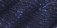 S-5117 New Navy