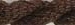 S-540 Truffle 