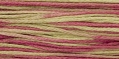 1126 Coleus (Retired 2002)