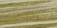 1221 Latte (Retired 2005)