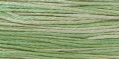 2181 Cactus