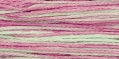 2306  Blue Aster (Retired 2002)